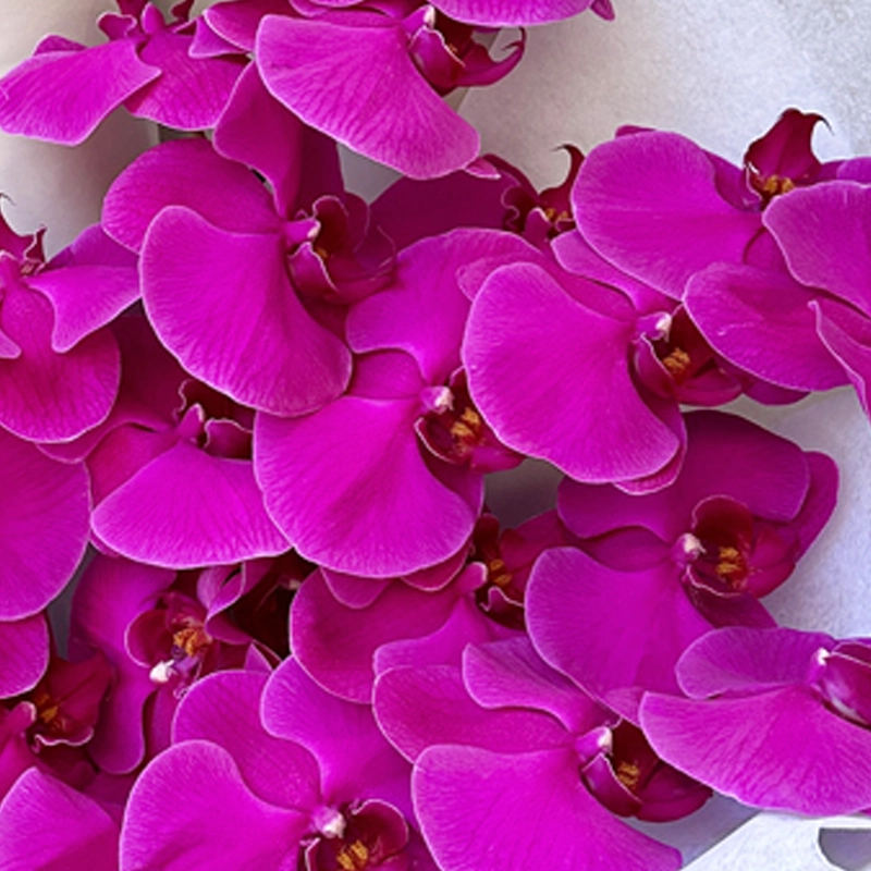 Букет Глазурь