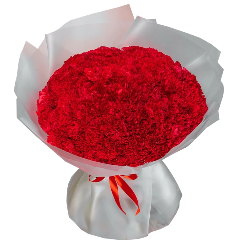 Букет из 101 красной гвоздики